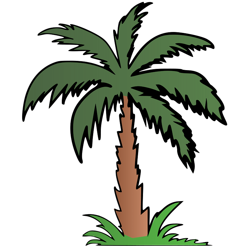 Palme Kostenlose Vektor Clipart Bilder Auf Creazilla