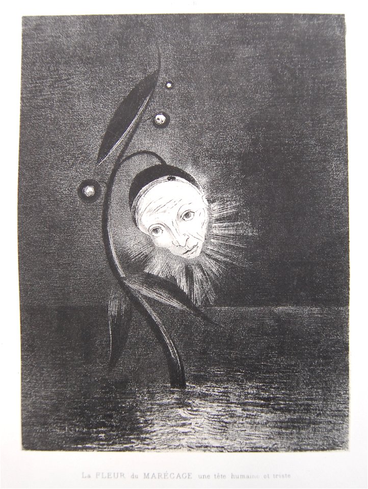 Redon La Fleur Du Mar Cage Une T Te Humaine Et Triste