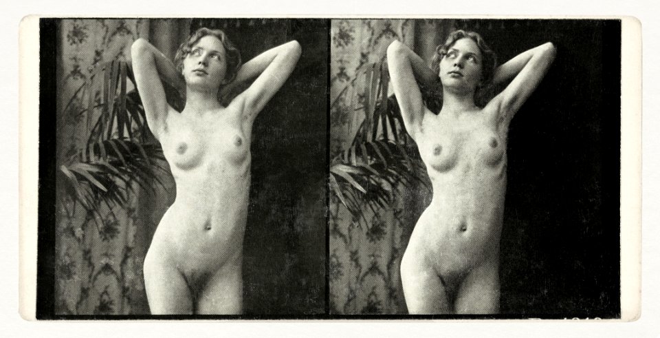 Portrait Of A Naked Woman Ca 18731910 Free Photos On Creazilla