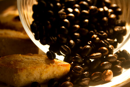 Coffee Beans Bowl photo