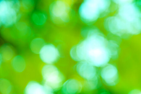 Green Blurred Background photo