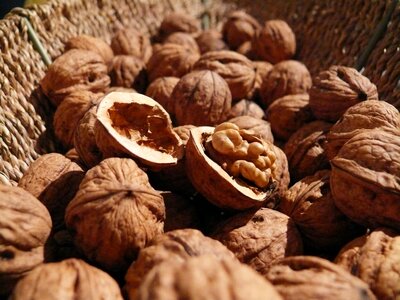 Healthy nut shell photo