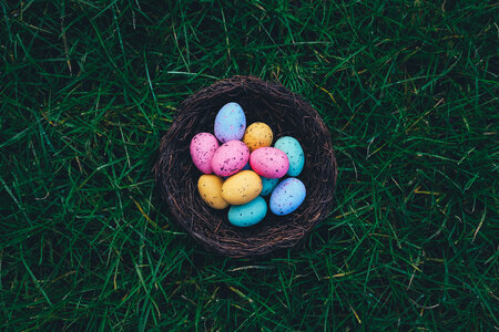 Easter Eggs in a Nest on the Grass photo