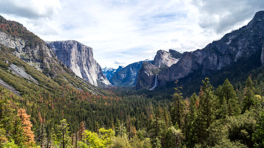 Landscape of the Valley at Yosemite National Park, California photo
