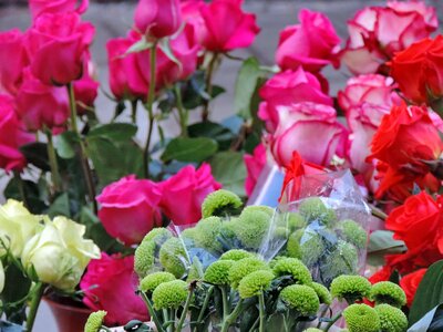 Bouquet garden flowers