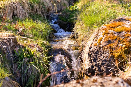 Water running water nature
