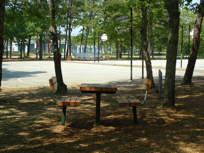 Picnic Table