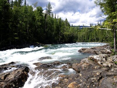 Murtle River in BC Canada photo