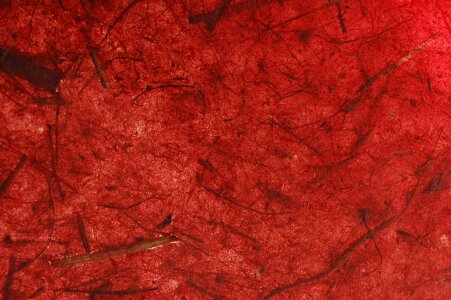 Bark warm burgundy