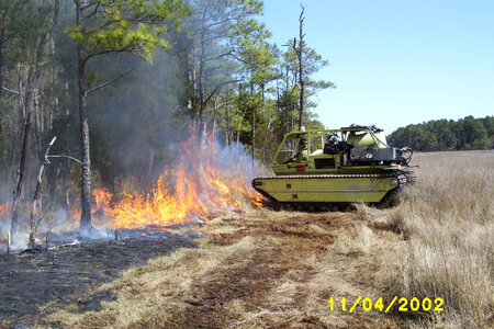 Prescribed Burn at Chesapeake Marshlands National Wildlife Refuge Complex photo
