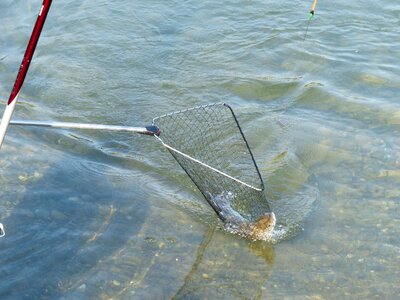 Caught water fisherman photo