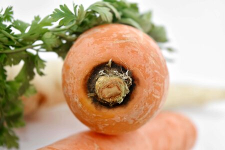 Health vegetable food