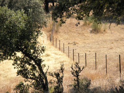 Wire fence field