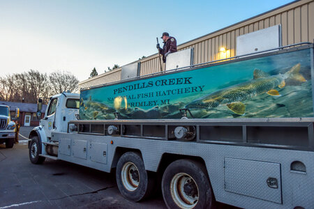 FWS loading juvenile lake trout onto hatchery trucks at Pendills Creek NFH-5