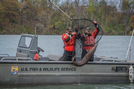 USFWS Fisheries crew in boat preparing for lake sturgeon field work-9