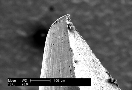 Inoculation needle smallpox