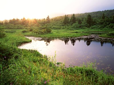 Beautiful view of mountain river in summer.