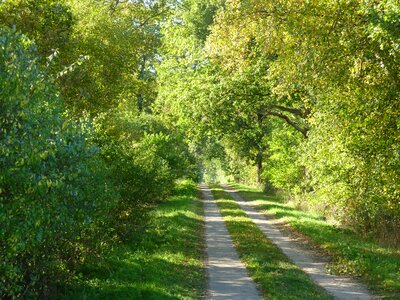 Trail spring green
