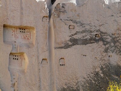 Turkey nesting sites pigeons