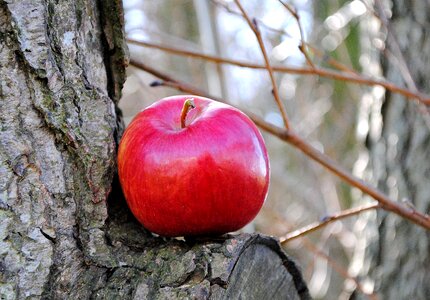 Fruit vitamins health