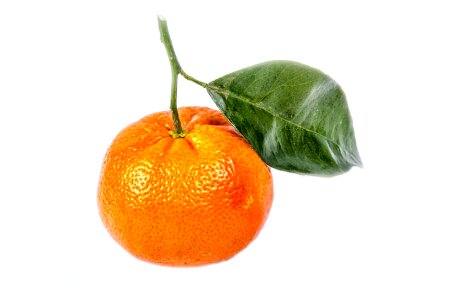 Citrus delicious diet photo