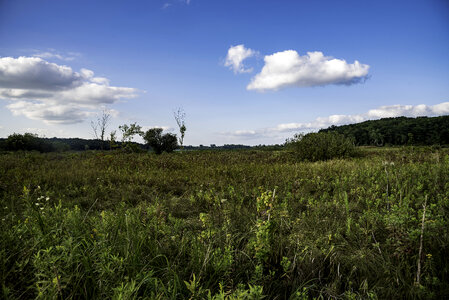 Marsh Grass and landscape under sky at Cherokee Marsh photo