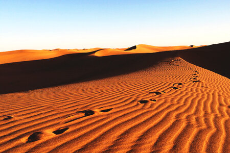 Desert Sand Dunes photo