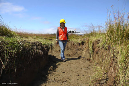 Archaeologist Inspects Newly Constructed Tidal Channel
