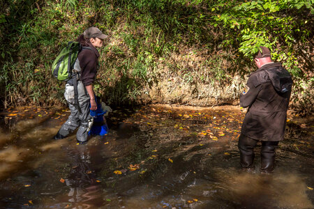 FWS mussel biologist, Morgan Wolf, releases endangered Carolina Heelsplitter-2