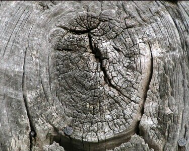 Weathered wooden timber photo