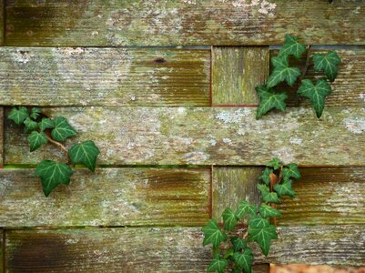 Aged backdrop worn