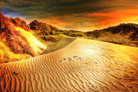 Desert and Sand Dunes Landscape photo