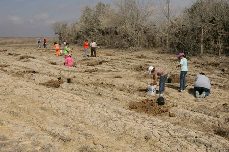 Assistance female child trees