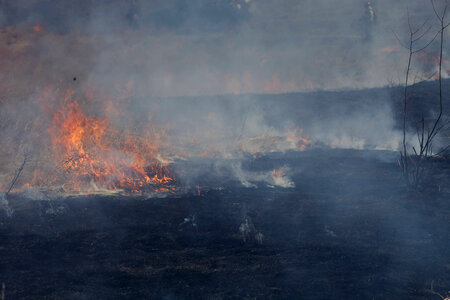 Prescribed Fire-1