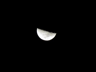 At night full moon black and white photo