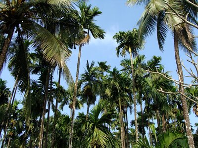 Malnad uttar kannada karnataka