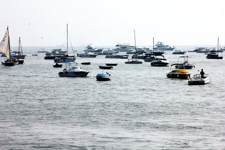 Sea Group Of Yachts Sail Boats photo