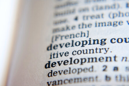 Development Word Dictionary photo