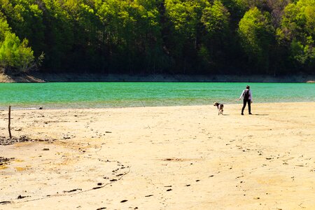 Man Walking Dog Beach Lake Water photo