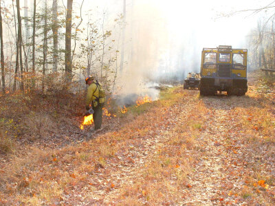 Prescribed burn at Chesapeake Marshlands NWR