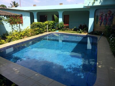 Water swimming pool flowers photo