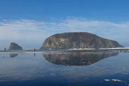 Goat Island-2