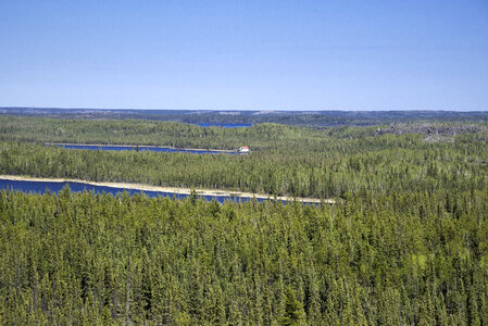 Lakes cutting into the Pine Forest Landscape on the Ingraham Trail photo