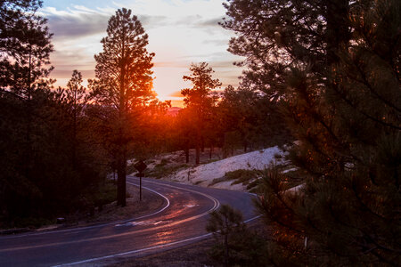 Roadway through the sunset at Bryce Canyon National Park, Utah photo