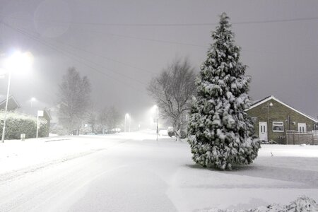 Storm tree road photo