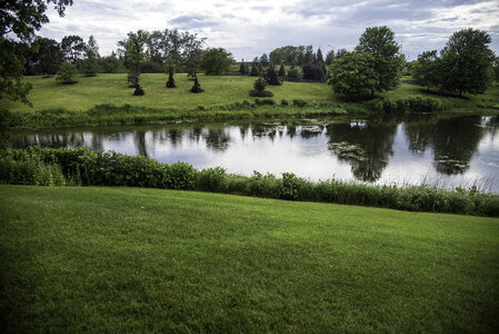 Grass, lawn, and landscape at Chicago Botanical Gardens photo