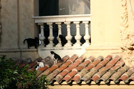 Balcony sitting tiles photo