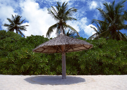 Beach Villas on small tropical island with palm trees photo