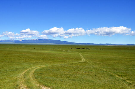 Scenic photo at the Paint Rock Angus Ranch in Lavina, Montana. photo