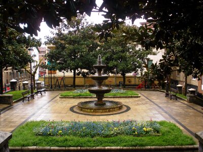 Courtyard benches trees photo